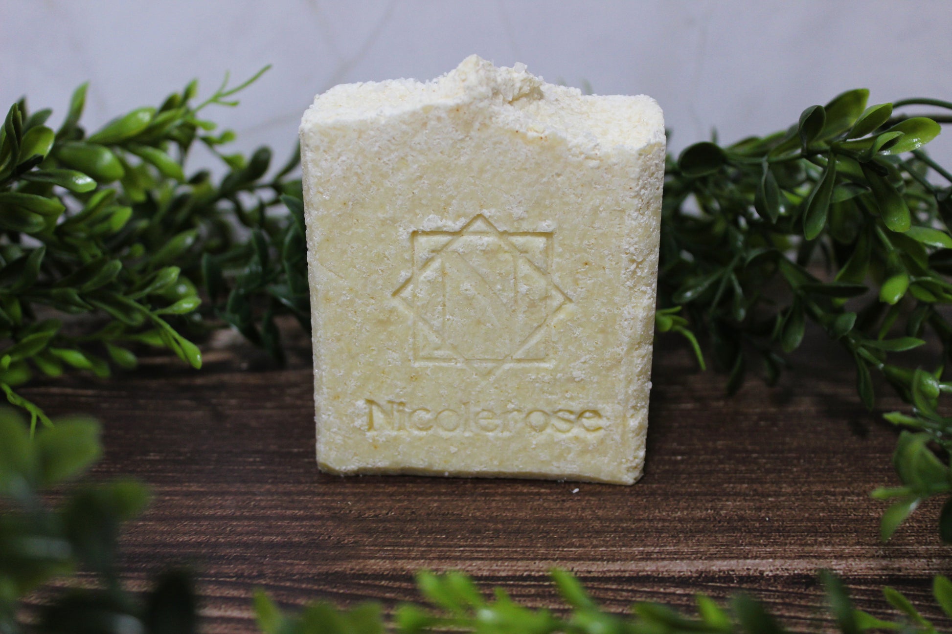 Salt of the earth Bar Soap
