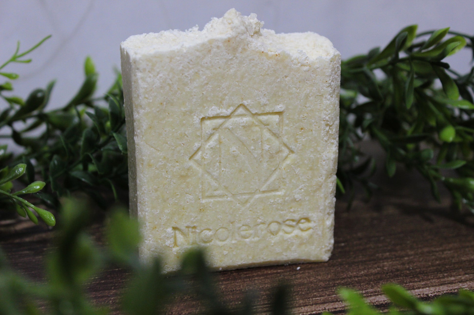 Salt of the earth Bar Soap