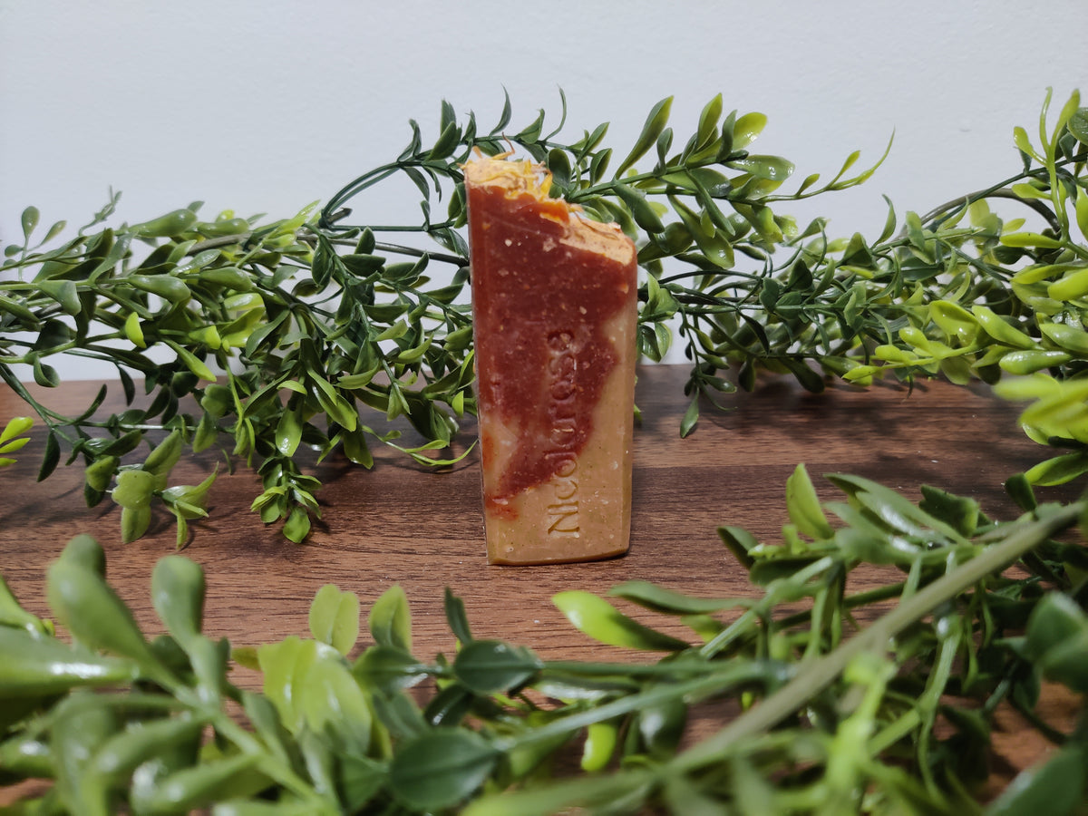 Bar of soap with 'Nubian' branding on a wooden surface surrounded by green foliage.